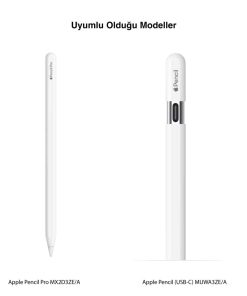 iPad Uyumlu Apple Pencil Pro ve Apple Pencil USB-C