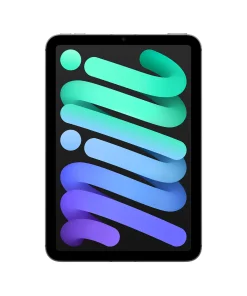 iPad mini Cellular Space Gray