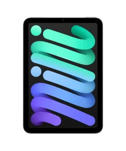 iPad Mini Uzay Grisi